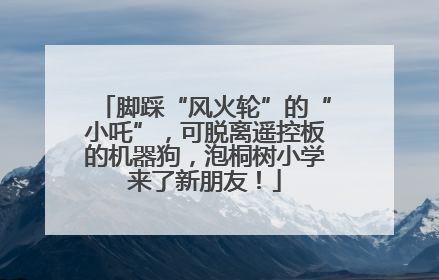 脚踩“风火轮”的“小吒”，可脱离遥控板的机器狗，泡桐树小学来了新朋友！
