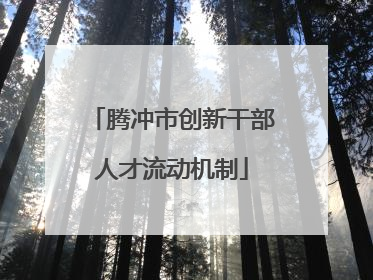 腾冲市创新干部人才流动机制