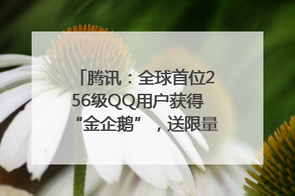 腾讯：全球首位256级QQ用户获得“金企鹅”，送限量版神秘惊喜等礼物