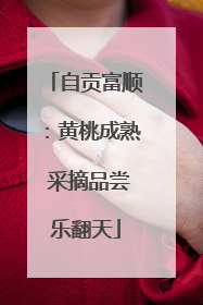 自贡富顺：黄桃成熟 采摘品尝乐翻天