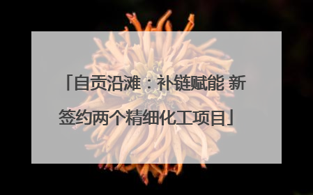 自贡沿滩：补链赋能 新签约两个精细化工项目