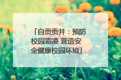 自贡贡井：预防校园霸凌 营造安全健康校园环境