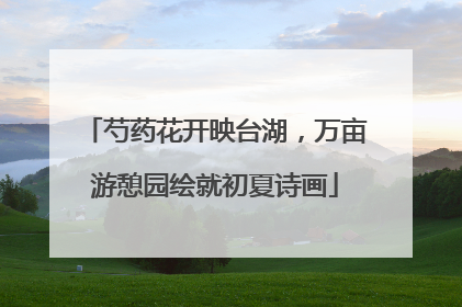 芍药花开映台湖，万亩游憩园绘就初夏诗画
