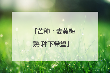 芒种：麦黄梅熟 种下希望