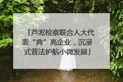 芦淞检察联合人大代表“典”亮企业，沉浸式普法护航小微发展