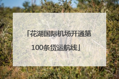 花湖国际机场开通第100条货运航线