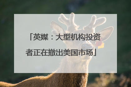 英媒：大型机构投资者正在撤出美国市场