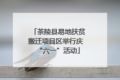 茶陵县易地扶贫搬迁项目区举行庆“六一”活动