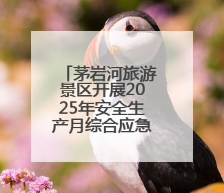 茅岩河旅游景区开展2025年安全生产月综合应急实战演练
