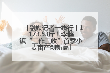 融媒记者一线行丨1173.53斤！李鹊镇“三作三收”首季小麦亩产创新高