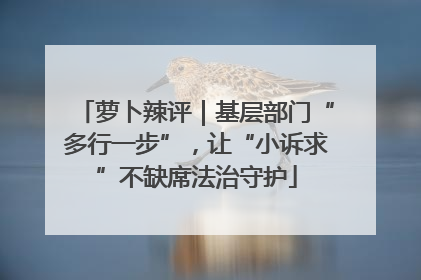 萝卜辣评｜基层部门“多行一步”，让“小诉求”不缺席法治守护