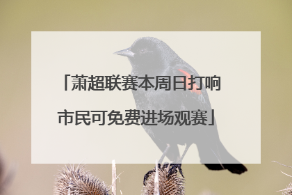 萧超联赛本周日打响 市民可免费进场观赛