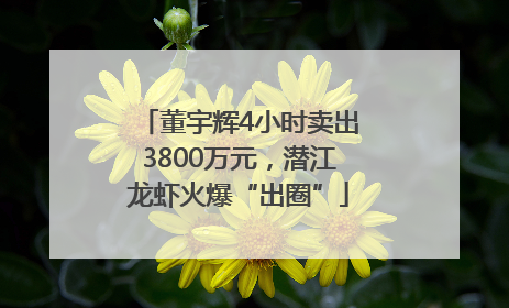 董宇辉4小时卖出3800万元，潜江龙虾火爆“出圈”