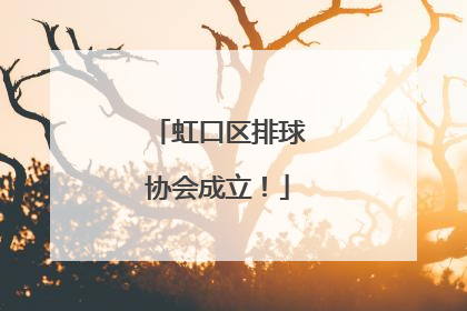 虹口区排球协会成立！