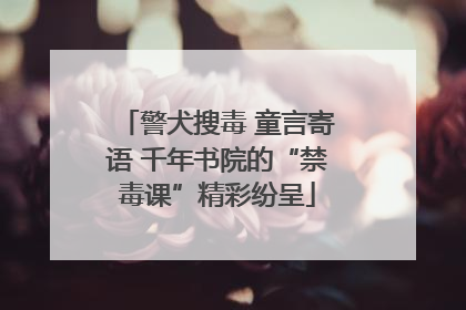 警犬搜毒 童言寄语 千年书院的“禁毒课”精彩纷呈