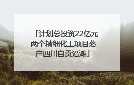 计划总投资22亿元 两个精细化工项目落户四川自贡沿滩