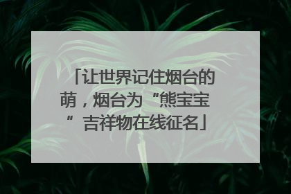 让世界记住烟台的萌，烟台为“熊宝宝”吉祥物在线征名