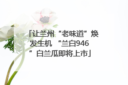 让兰州“老味道”焕发生机 “兰白946”白兰瓜即将上市
