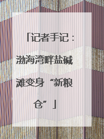 记者手记：渤海湾畔盐碱滩变身“新粮仓”