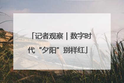 记者观察｜数字时代“夕阳”别样红
