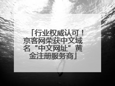 行业权威认可！京客网荣获中文域名“中文网址”黄金注册服务商