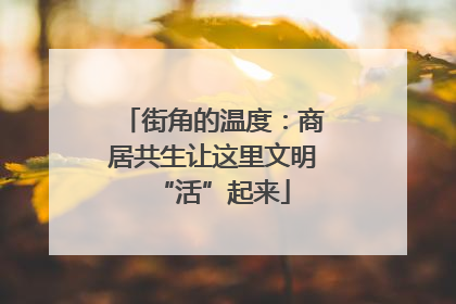 街角的温度：商居共生让这里文明“活”起来