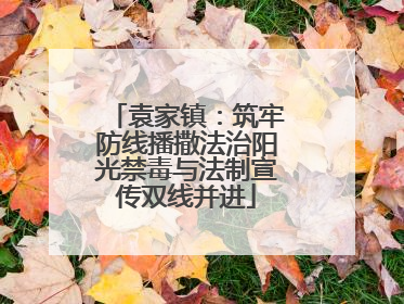 袁家镇：筑牢防线播撒法治阳光禁毒与法制宣传双线并进