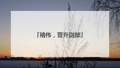 褚伟，晋升副部