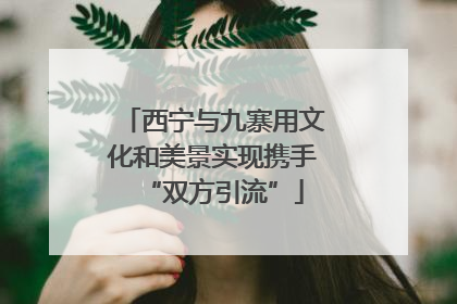 西宁与九寨用文化和美景实现携手“双方引流”