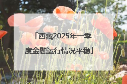 西藏2025年一季度金融运行情况平稳