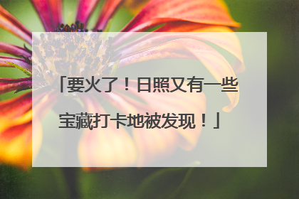 要火了！日照又有一些宝藏打卡地被发现！