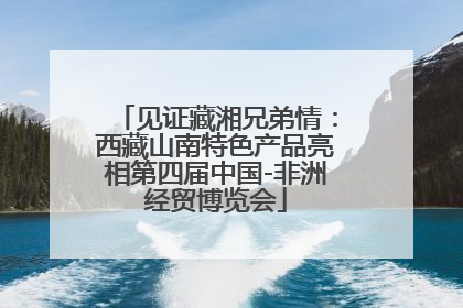见证藏湘兄弟情：西藏山南特色产品亮相第四届中国-非洲经贸博览会