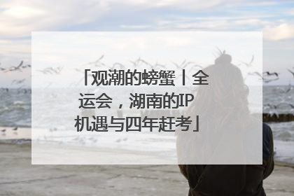 观潮的螃蟹丨全运会，湖南的IP机遇与四年赶考