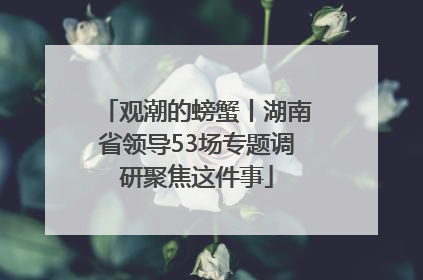 观潮的螃蟹丨湖南省领导53场专题调研聚焦这件事