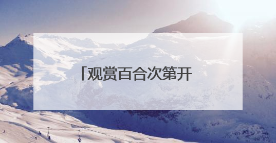 观赏百合次第开 农旅融合新样本 “胜日寻芳·花漾兰州”系列报道之七