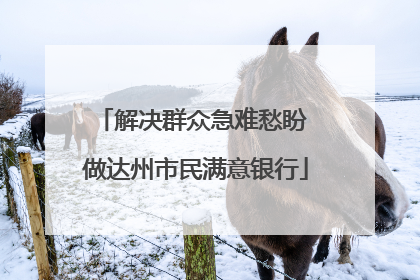 解决群众急难愁盼 做达州市民满意银行