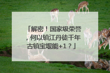 解密！国家级荣誉，何以镇江丹徒千年古镇宝堰能+1？