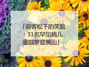 迎客松下的笑脸：31名罕见病儿童圆梦登黄山