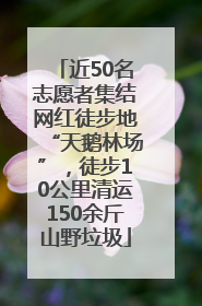 近50名志愿者集结网红徒步地“天鹅林场”，徒步10公里清运150余斤山野垃圾