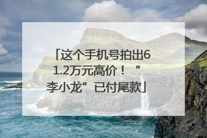 这个手机号拍出61.2万元高价！“李小龙”已付尾款