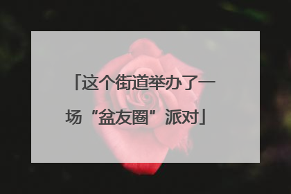 这个街道举办了一场“盆友圈”派对