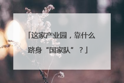 这家产业园，靠什么跻身“国家队”？