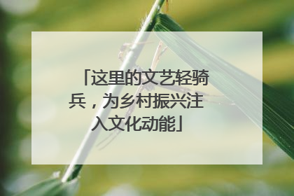 这里的文艺轻骑兵，为乡村振兴注入文化动能