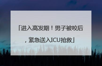 进入高发期！男子被咬后，紧急送入ICU抢救