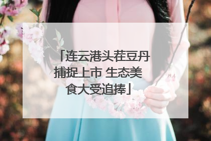 连云港头茬豆丹捕捉上市 生态美食大受追捧