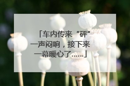 车内传来“砰”一声闷响，接下来一幕暖心了……