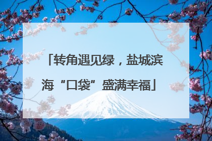 转角遇见绿，盐城滨海“口袋”盛满幸福