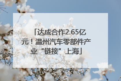 达成合作2.65亿元！温州汽车零部件产业“链接”上海
