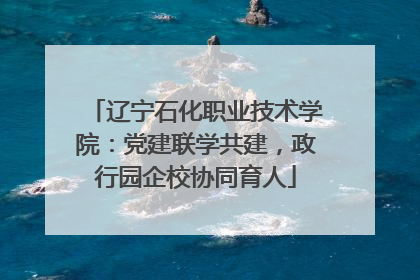 辽宁石化职业技术学院：党建联学共建，政行园企校协同育人