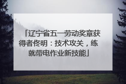 辽宁省五一劳动奖章获得者佟明：技术攻关，练就带电作业新技能